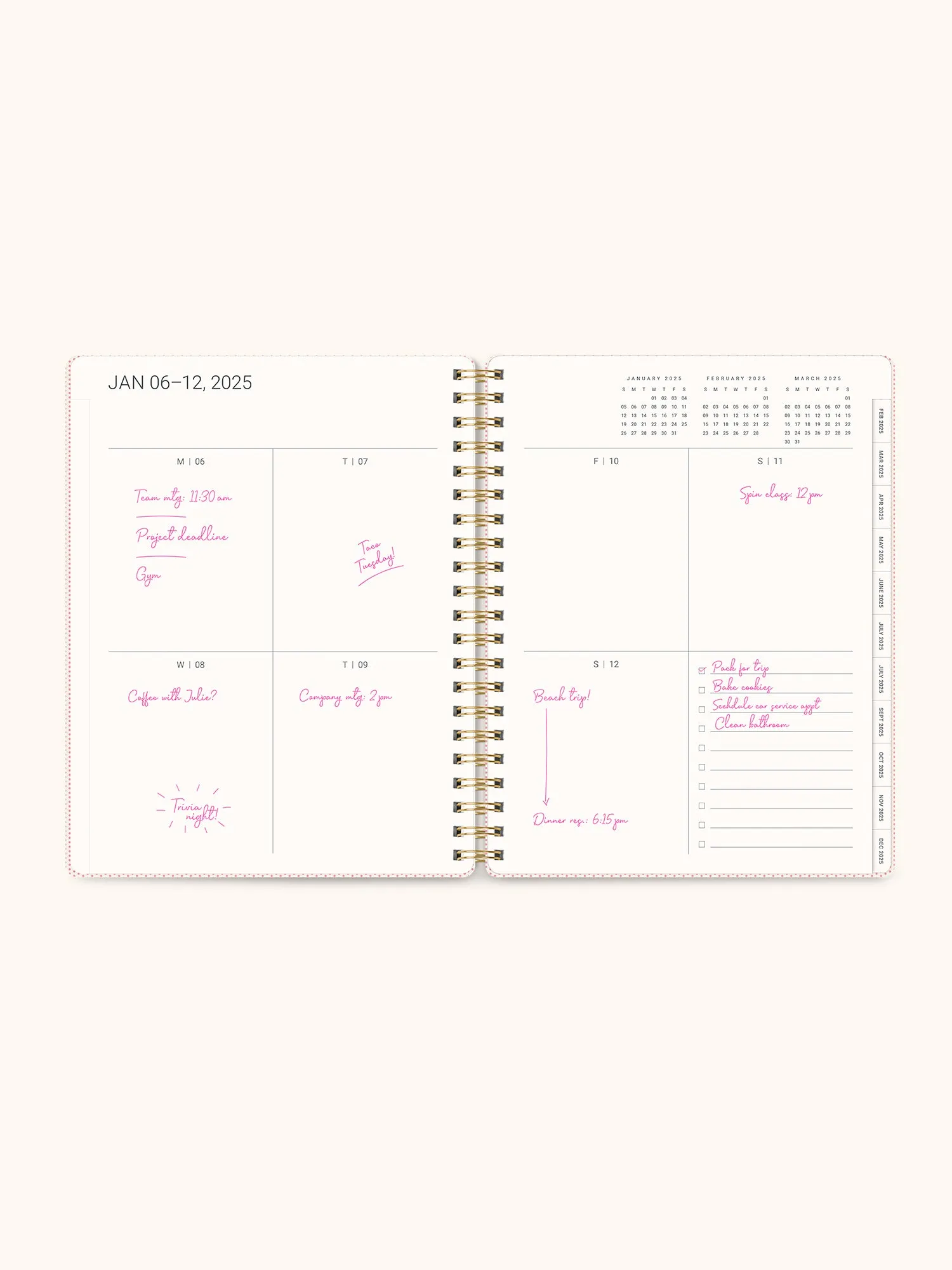 2025 Lazy Daisies Baxter Planner