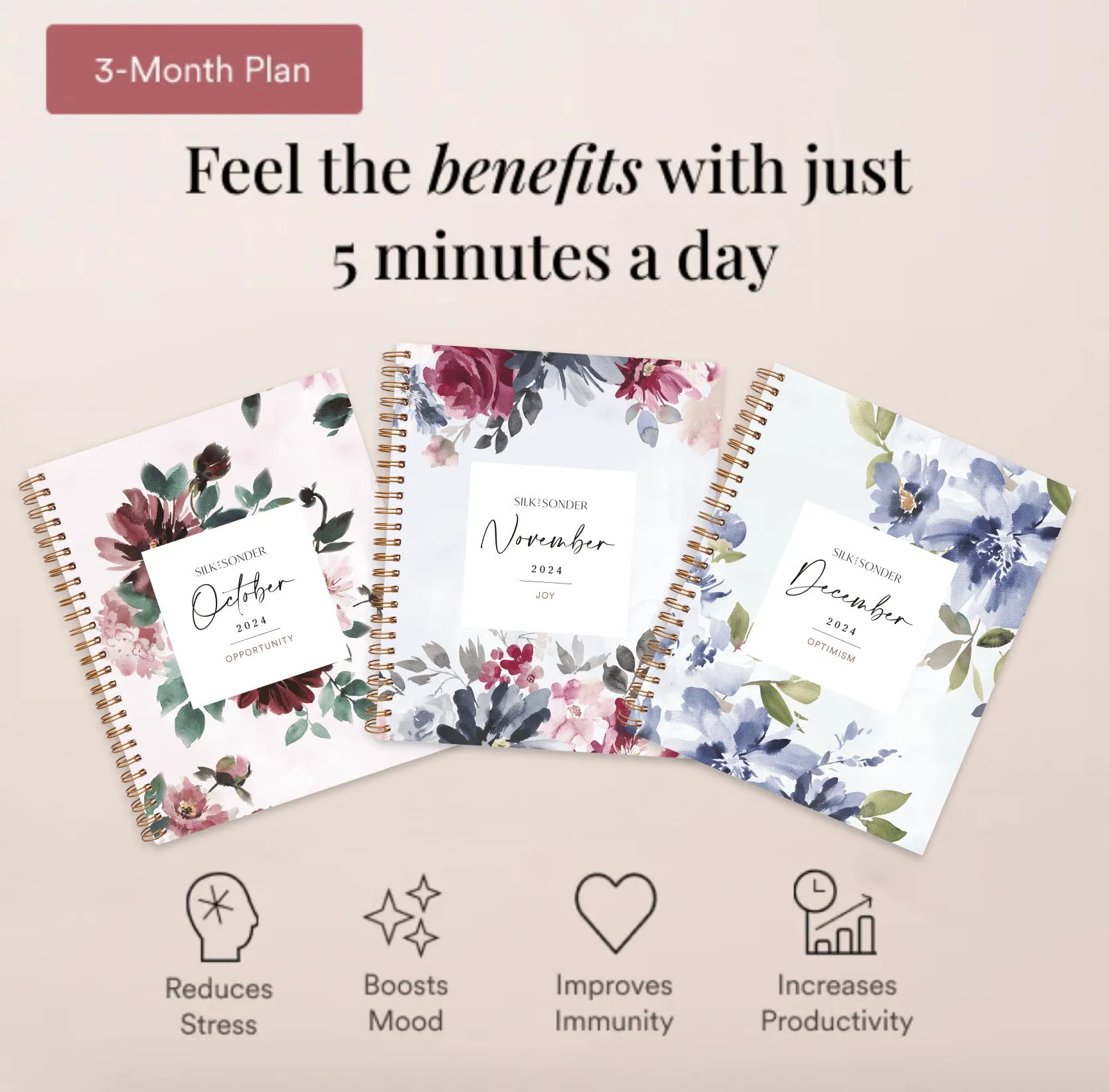 3-Month Plan