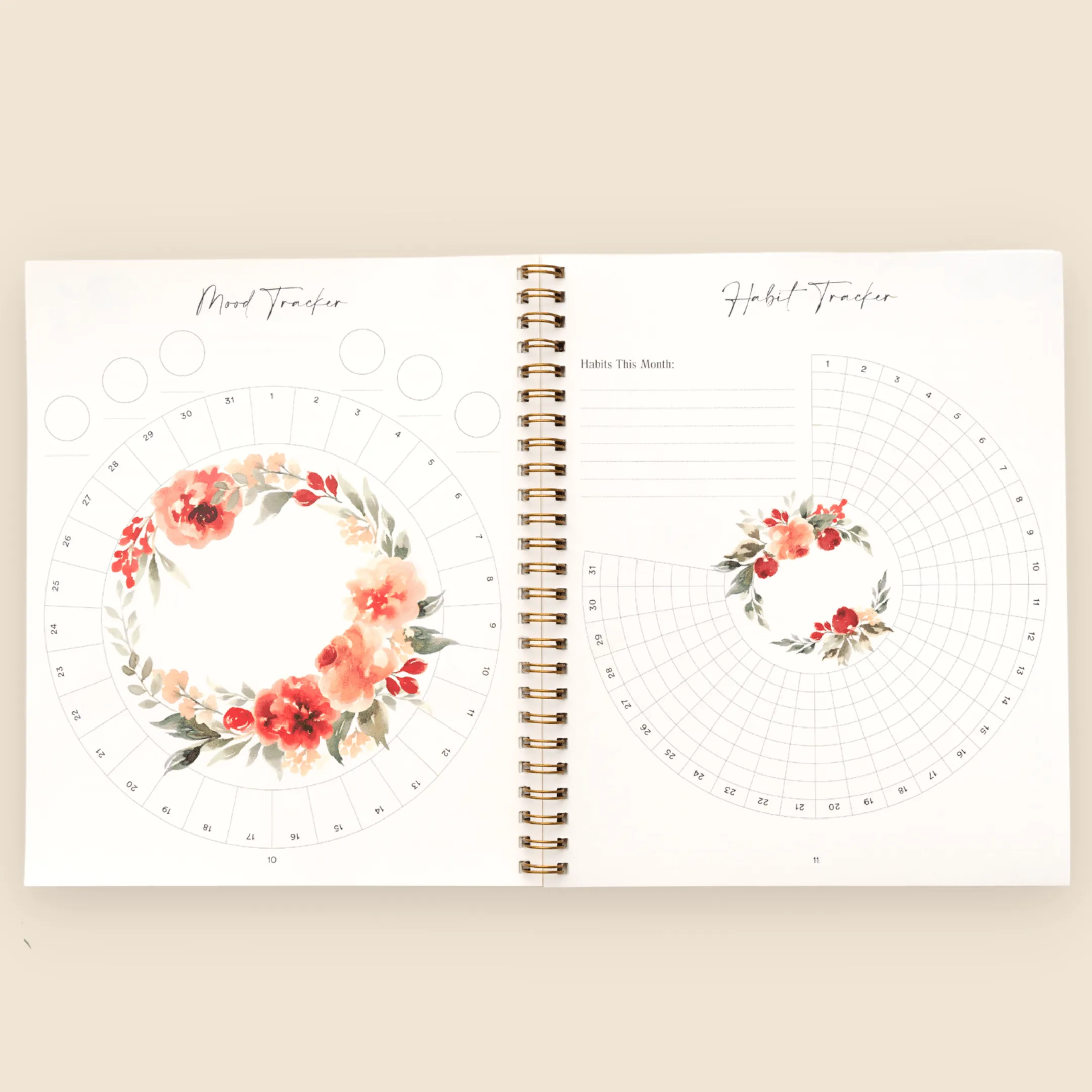 3-Month Plan