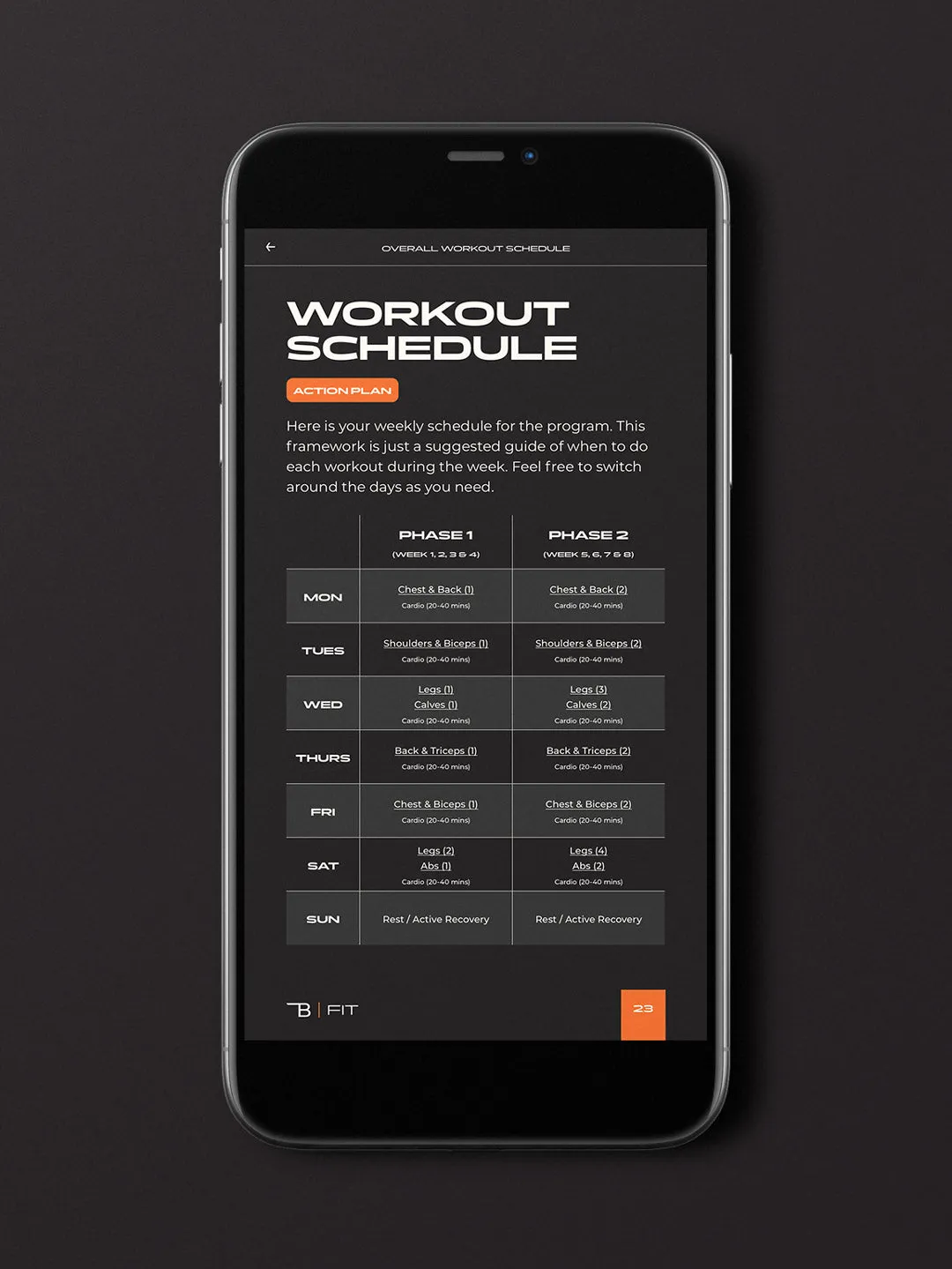 Burnt Cut | 8 Week Men's Gym Program