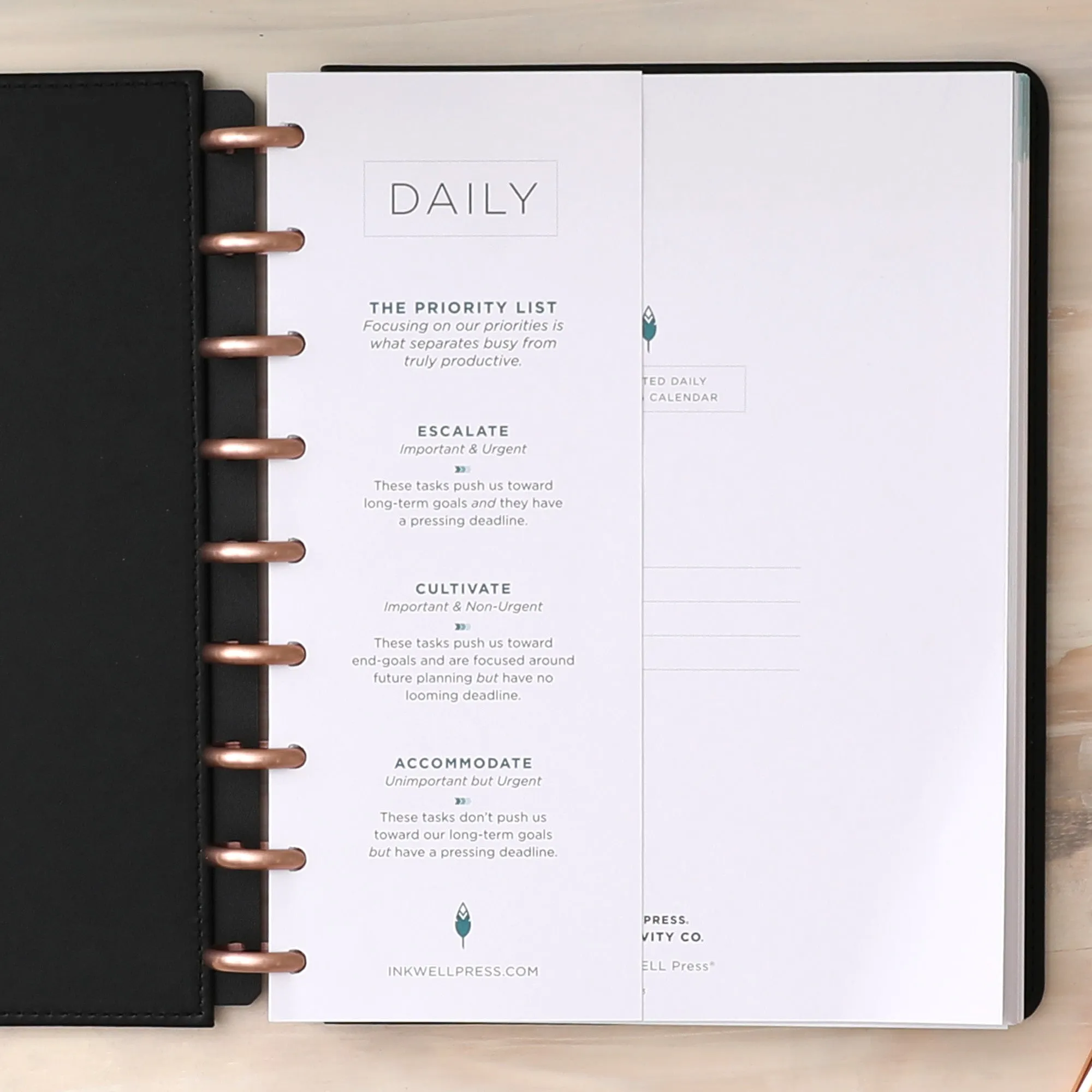 Daily Planner Insert | Undated