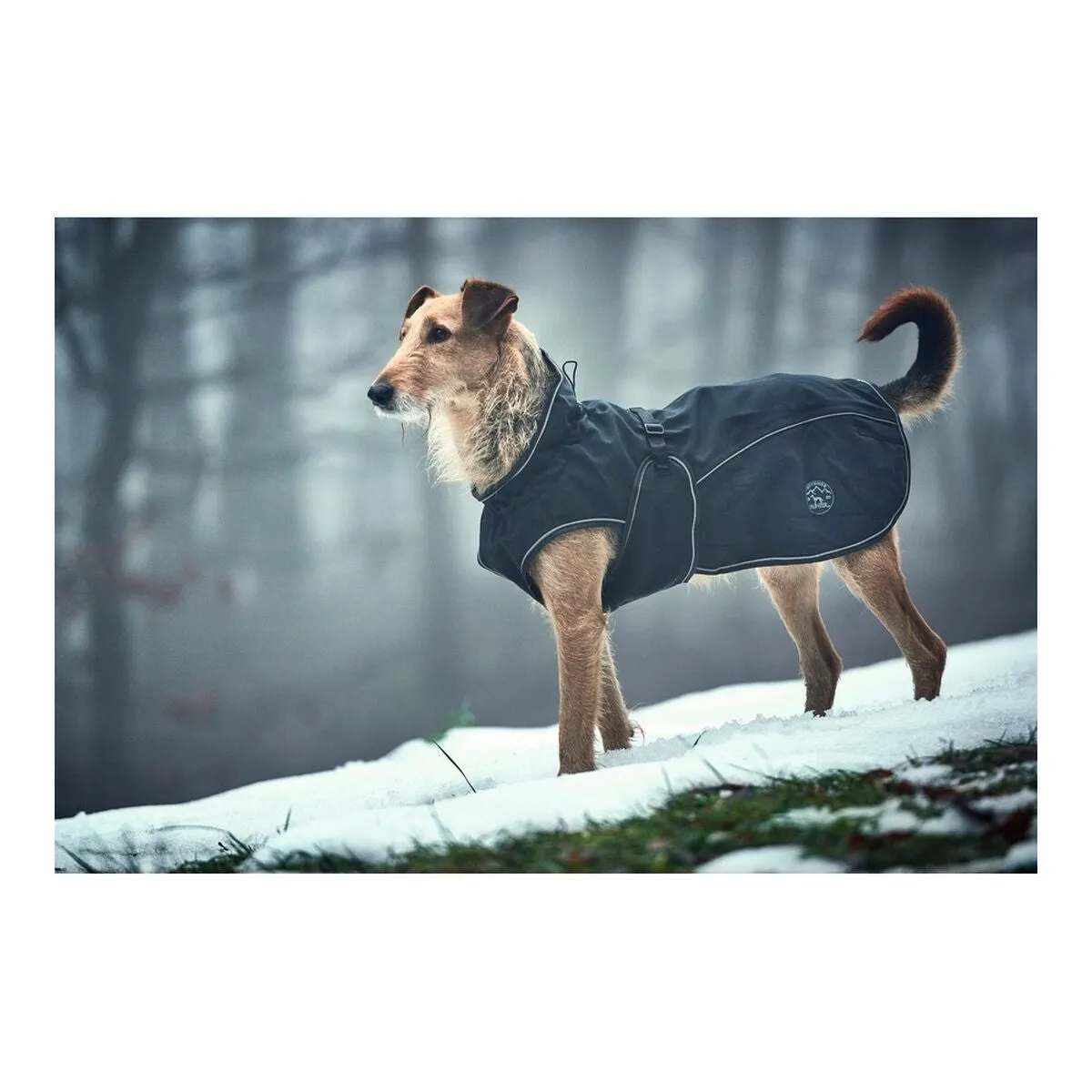Dog Coat Norton 360 Uppsala Black 50 Cm