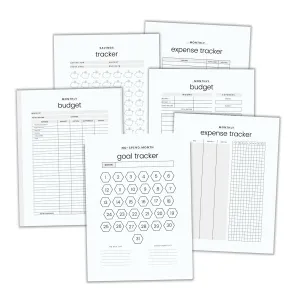 Finance & Budget Planner