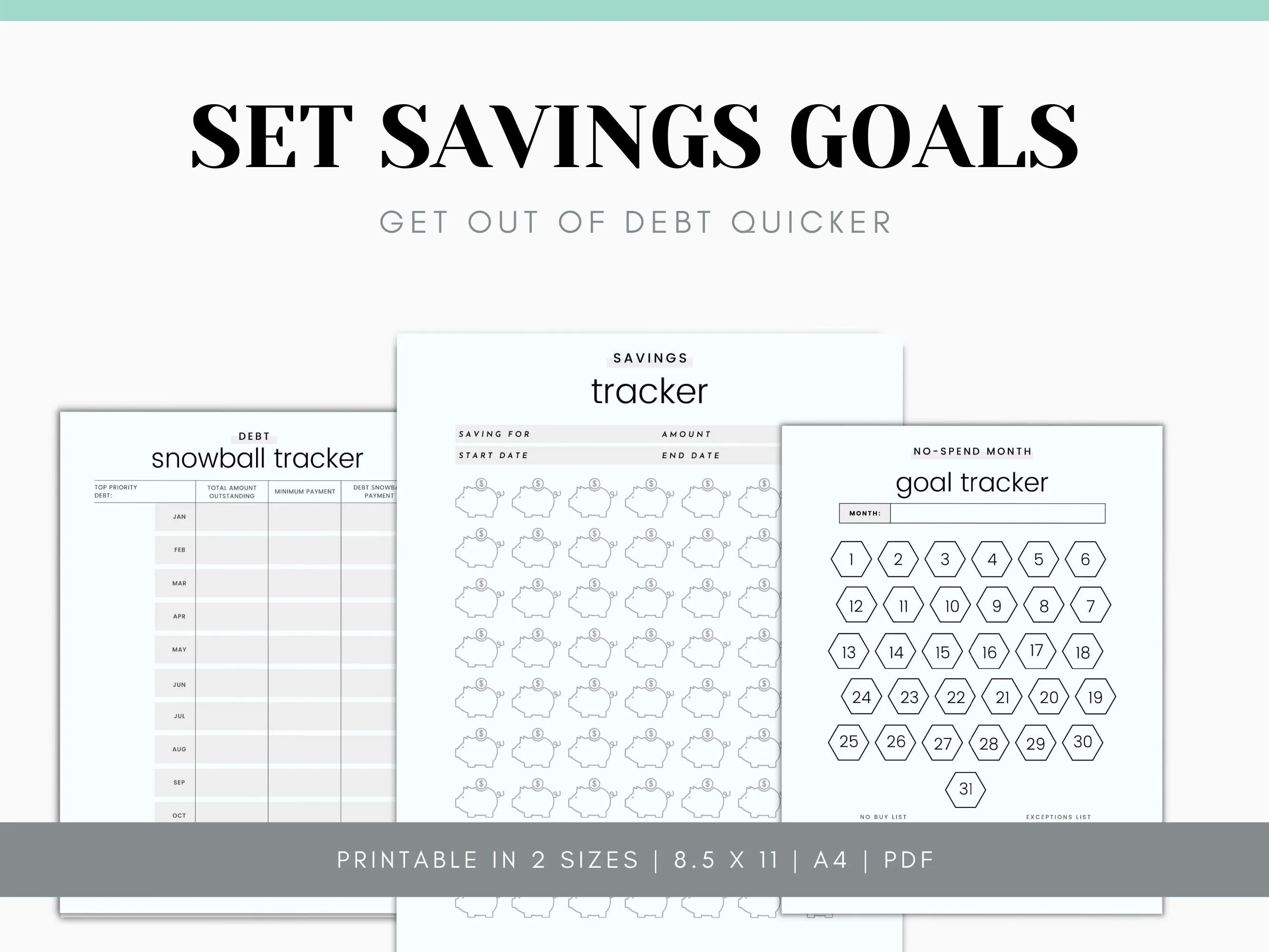 Finance & Budget Planner