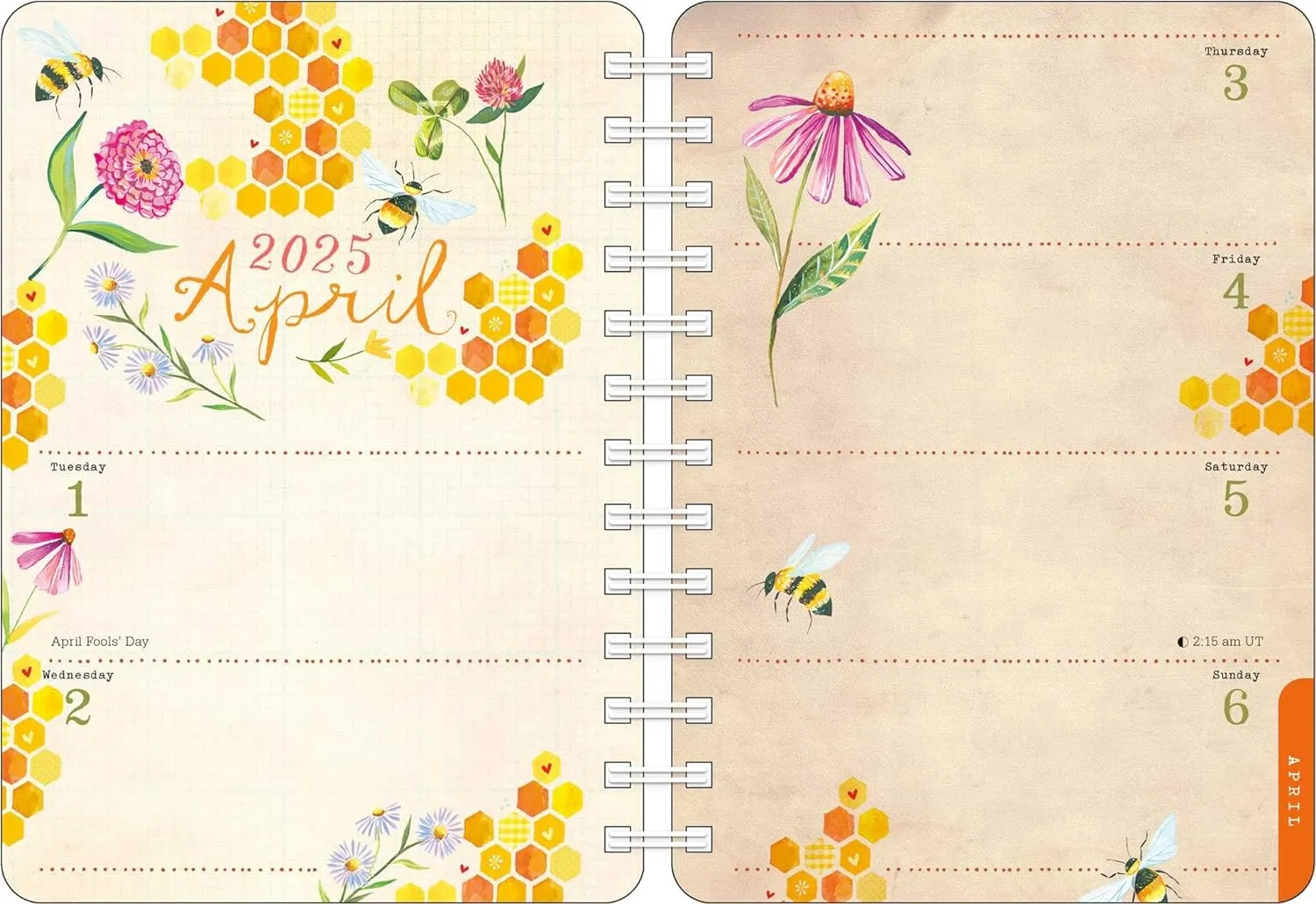 Katie Daisy 2025 Weekly Planner Calendar: Find Me in the Flowers